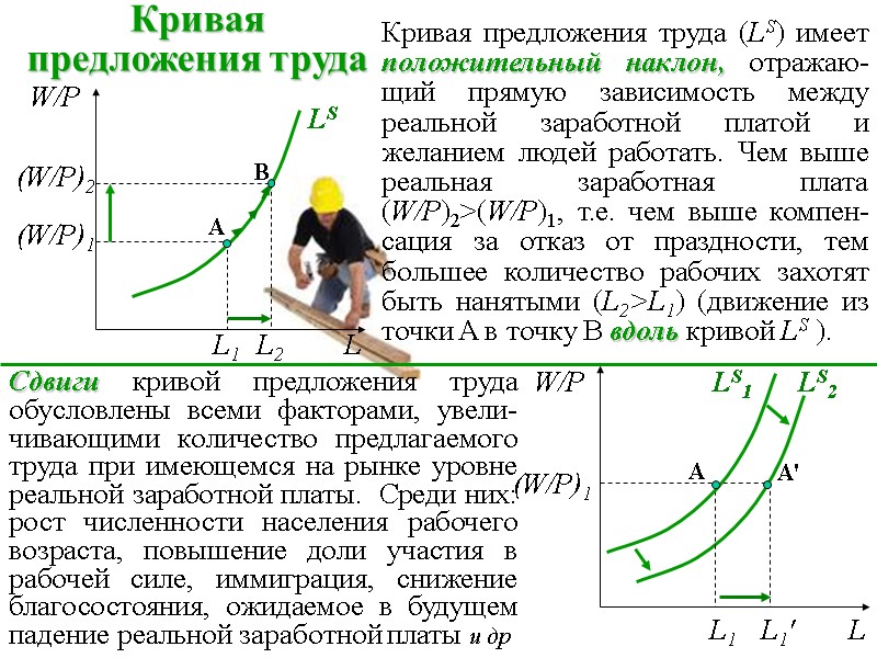 Кривая  предложения труда Кривая предложения труда (LS) имеет положительный наклон, отражаю-щий прямую зависимость